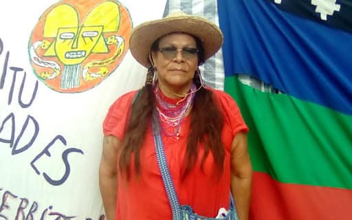 “Es la primera vez que una mujer indígena integra una lista a nivel nacional”
