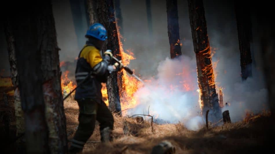 Incendio en Corrientes: El gobierno local habría desestimado la ayuda de Nación desde Noviembre