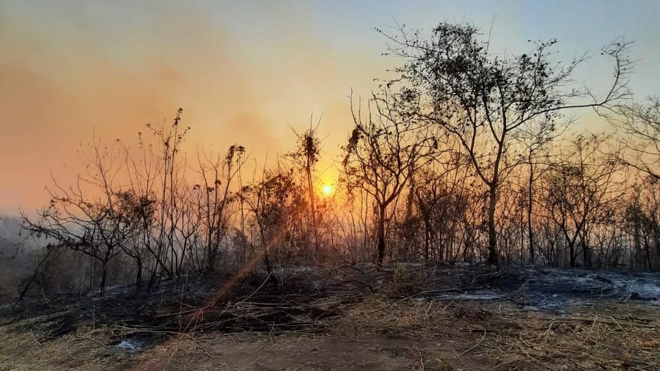 Preocupa el incendio en Colonia Santa Rosa