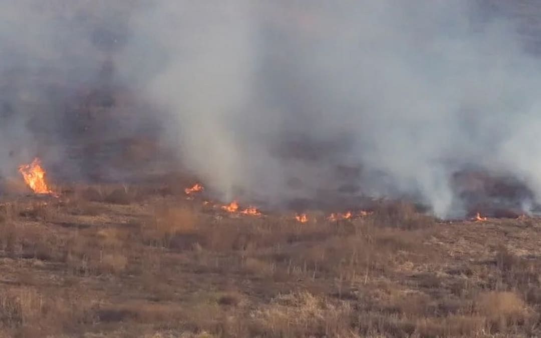 Incendios Forestales: En el norte salteño casi 4 mil hectáreas fueron afectadas por las llamas