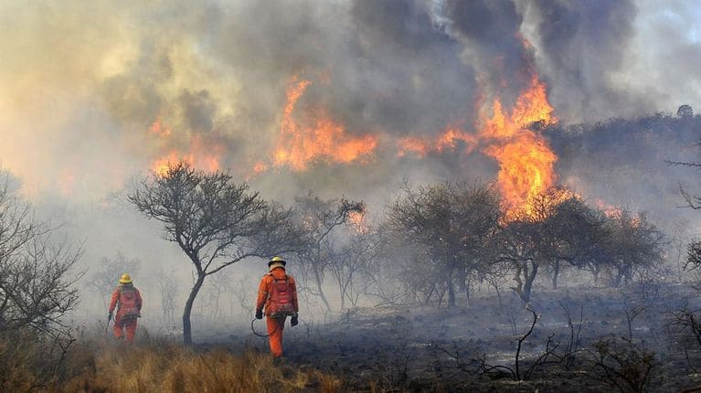 Trece provincias reportaron incendios forestales y nueve con focos activos