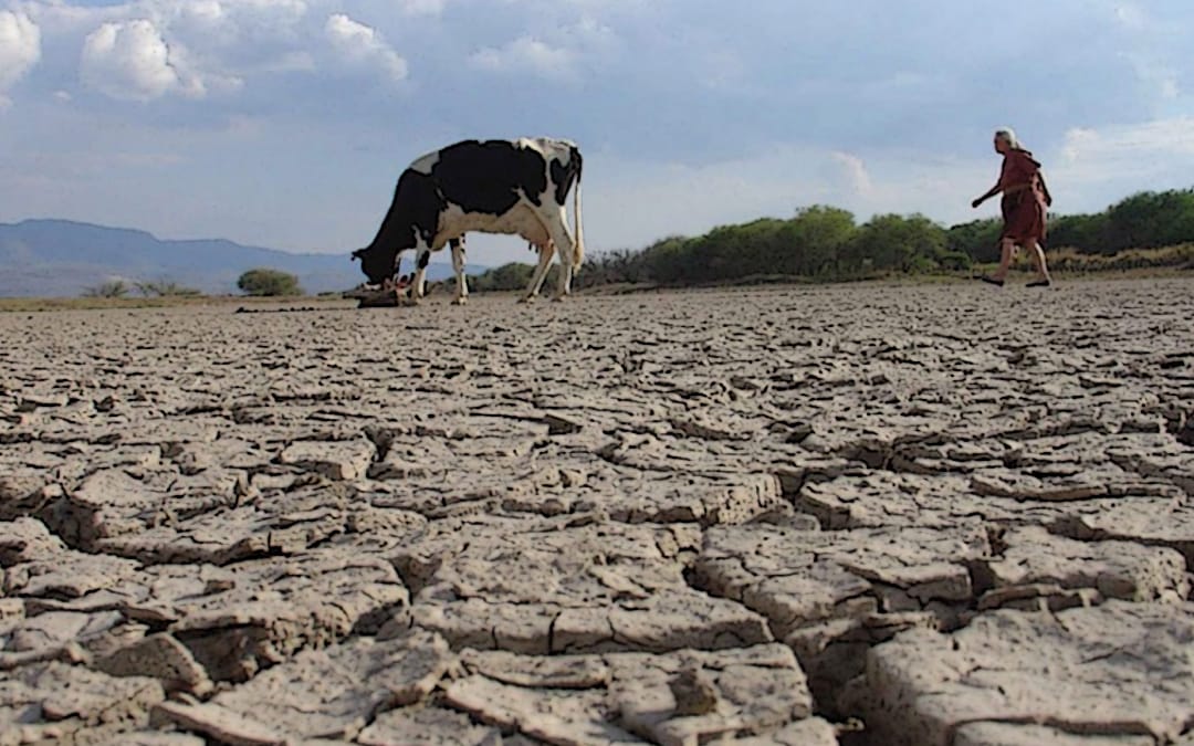 Crisis de agua: El norte sufre una sequía agudizada por obras sin terminar